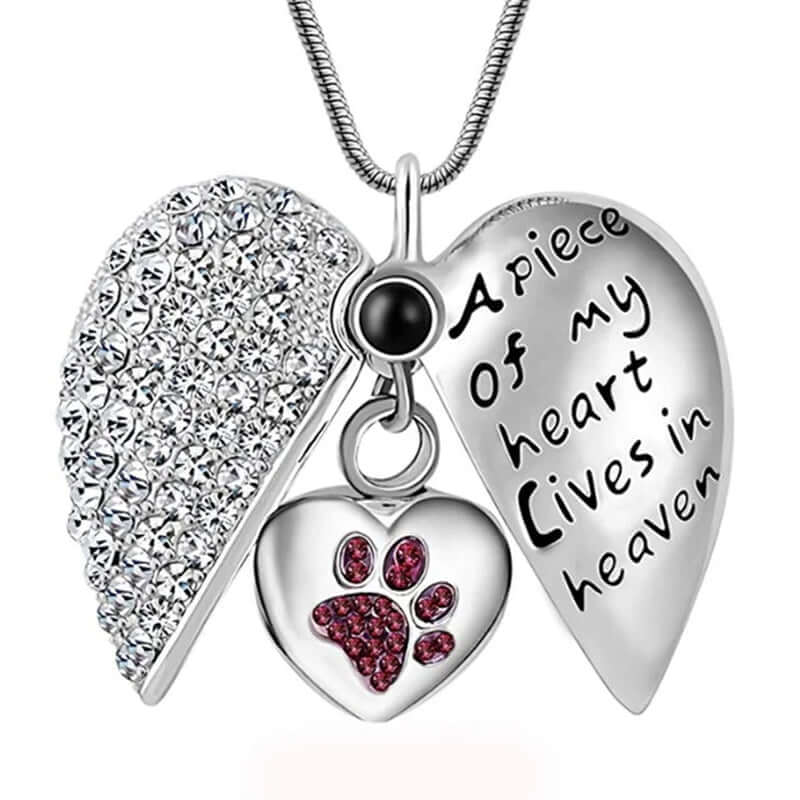 High-Quality Dog/Cat Paw Print Cremation Jewellery Ashes Holder Pet Memorial Urn Necklace Pendant for Memory - Memories-Made.